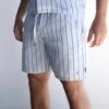 Assisi Stripe Shorts - Blue 11 Assisi Stripe Shorts - Blue -Blakely Clothing Store 2289Blue 04LEADD
