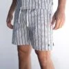 Assisi Stripe Shorts - Navy -Blakely Clothing Store 2289 Navy 04LEADD