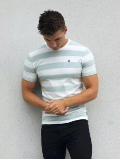 Loano Stripe T-Shirt - Sage 9 Loano Stripe T-Shirt - Sage -Blakely Clothing Store 2376SAGED 5