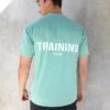 Relaxed Training T-Shirt - Sage Green -Blakely Clothing Store 2686TSage 07BACKLEADD