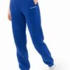 Everyday Sweatpants - Cobalt Blue 15 Everyday Sweatpants - Cobalt Blue -Blakely Clothing Store 2759 LEAD JOGGER BLUED