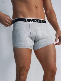 B2 | Boxers - Mixed 3 Pack 10 B2 | Boxers - Mixed 3 Pack -Blakely Clothing Store 976 6GreyBoxers1D 4cc4d76c 5a3b 4b16 8a6d 57c25e9ccdc1