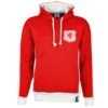 Premium Retro Wales Hoodie with Embroidered Heritage Badge 4 Premium Retro Wales Hoodie with Embroidered Heritage Badge -Blakely Clothing Store h0061