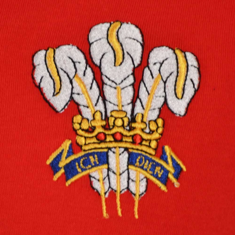 Wales Rugby World Cup Heritage Polo - 1976 Edition Organic Cotton 3 Wales Rugby World Cup Heritage Polo - 1976 Edition Organic Cotton - Image 3