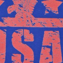 USA Graphic Ringer T-Shirt - Organic Cotton Crew Neck in Royal & White -Blakely Clothing Store print0116 1