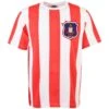 Sunderland Retro T-Shirt with Embroidered Badge