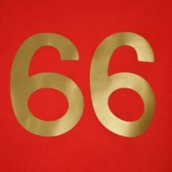 England 1966 World Cup Commemorative T-Shirt - 100% Organic Cotton -Blakely Clothing Store t0174 2