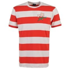 Japan Rugby Stripe T-Shirt - Premium Organic Cotton Heritage Tee