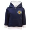 Kids Scotland 1970's Retro Football Hoodie - Embroidered Badge -Blakely Clothing Store th0037
